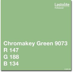 Lastolite Chromakey green LP9073, 1 vnt kaina ir informacija | Fotografijos apšvietimo įranga | pigu.lt