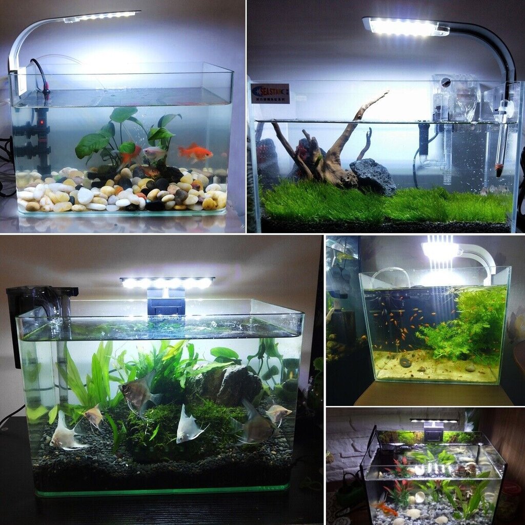 LED lempa akvariumo augmenijai bei gyvūnijai kaina ir informacija | Akvariumai ir jų įranga | pigu.lt