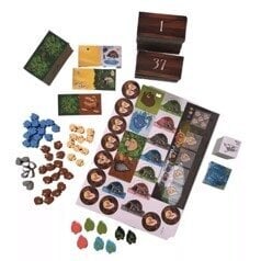 Stalo žaidimas Kingdomino Origins LT, LV, EE, RU kaina ir informacija | Stalo žaidimai, galvosūkiai | pigu.lt