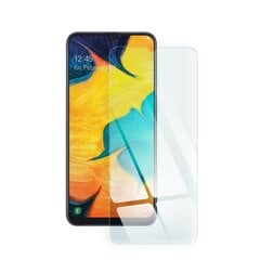 Закаленное стекло Blue Star - Samsung Galaxy A30 цена и информация | Google Pixel 3a - 3mk FlexibleGlass Lite™ защитная пленка для экрана | pigu.lt