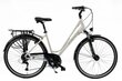 Moteriškas dviratis Kands Elite Pro, Alu, Shimano,150-167 cm, 28", baltas kaina ir informacija | Dviračiai | pigu.lt