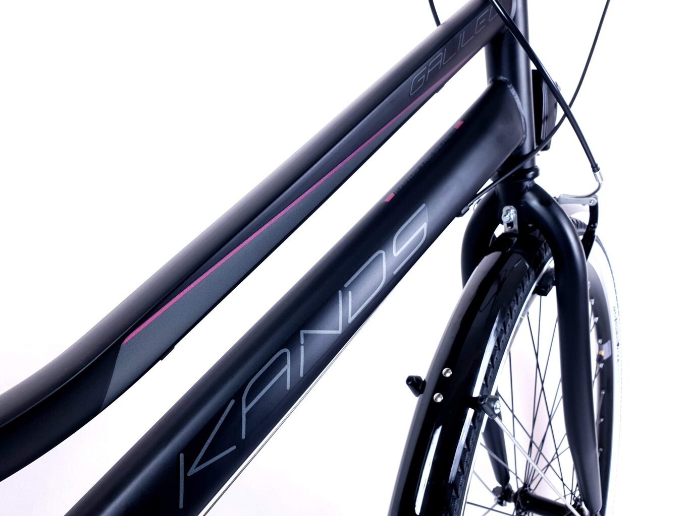Moteriškas dviratis Kands Galileo, 150-167 cm, 28" aliumininiai ratai, Shimano, Juoda цена и информация | Dviračiai | pigu.lt