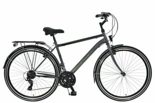 Vyriškas dviratis Kands Galileo, 182-200 cm, 28" aliumininiai ratai, 21 pavarų Shimano perjungėjas, Grafitas kaina ir informacija | Dviračiai | pigu.lt