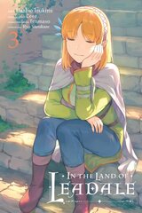 In the Land of Leadale, Vol. 3 (manga) цена и информация | Фантастика, фэнтези | pigu.lt