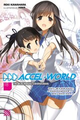 Accel World, Vol. 18 (light novel) цена и информация | Фантастика, фэнтези | pigu.lt