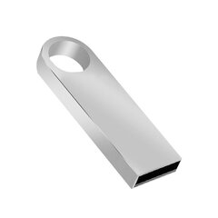 USB flash atmintinė / raktas 32 GB - metalinis цена и информация | USB накопители | pigu.lt