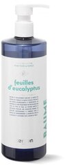 Parfumuotas rankų ir kūno prausiklis Kerzon Liquid Soap Feuilles d'Eucalyptus, 500 ml kaina ir informacija | Parfumuota kosmetika moterims | pigu.lt