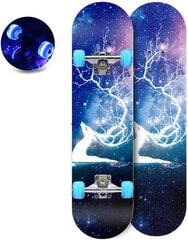 Скейтборд Aoli Skateboard LED, 80 см цена и информация | Скейтборды | pigu.lt