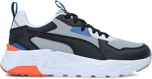 Обувь Puma Trinity Lite Jr Grey Black 391443 03 391443 03/4.5 цена и информация | Детская спортивная обувь | pigu.lt