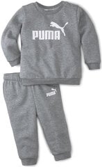 Sportinis Kostiumas berniukams Puma, pilkas kaina ir informacija | Kelnės berniukams | pigu.lt