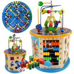 Деревянный развивающий кубик для детей цена и информация | Игрушки для малышей | pigu.lt