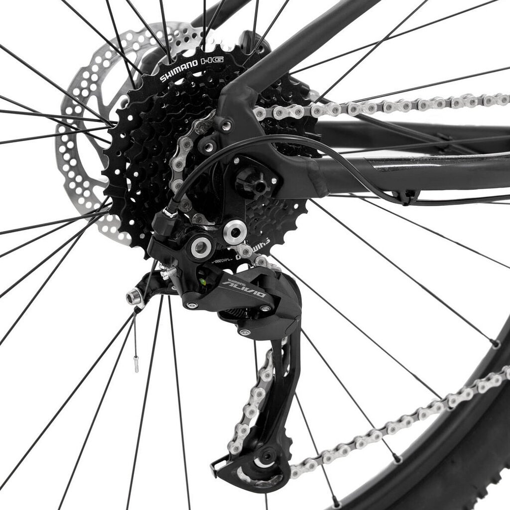 Kalnų dviratis Rock Machine Torrent 29", juodas цена и информация | Dviračiai | pigu.lt