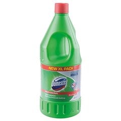 Domestos WC valiklis, 2 L kaina ir informacija | Domestos Virtuvės, buities, apyvokos prekės | pigu.lt