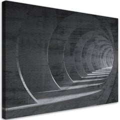 Холст принцип, серый туннель 3D 39,99 цена и информация | Репродукции, картины | pigu.lt