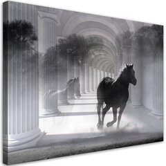 Печать холста, бегущая лошадь 3D 39,99 цена и информация | Репродукции, картины | pigu.lt
