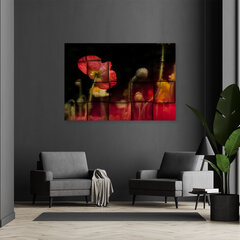 Холст, красный мак цветок 39,99 цена и информация | Репродукции, картины | pigu.lt