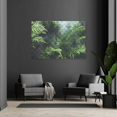 Картина из закаленного стекла Листья папоротника цена и информация | Репродукции, картины | pigu.lt