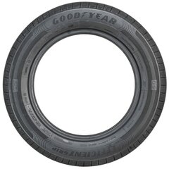 Шины для легковых автомобилей Goodyear EFFICIENTGRIP PERFORMANCE 195/50HR15 цена и информация | Летняя резина | pigu.lt