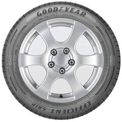 Goodyear Efficientgrip Performance 205/55HR16 kaina ir informacija | Vasarinės padangos | pigu.lt