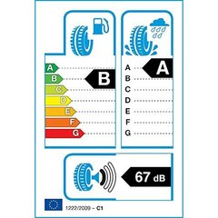 Automobilio padanga Dunlop SPORT BLURESPONSE 195/55VR16 kaina ir informacija | Vasarinės padangos | pigu.lt