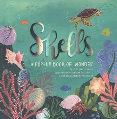 Shells: A Pop-Up Book of Wonder цена и информация | Книги для малышей | pigu.lt