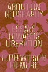Abolition Geography: Essays Towards Liberation kaina ir informacija | Socialinių mokslų knygos | pigu.lt