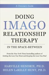 Doing Imago Relationship Therapy in the Space-Between: A Clinician's Guide kaina ir informacija | Socialinių mokslų knygos | pigu.lt