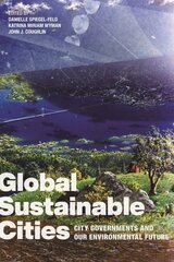 Global Sustainable Cities: City Governments and Our Environmental Future kaina ir informacija | Ekonomikos knygos | pigu.lt
