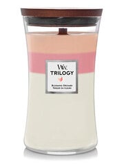 WoodWick kvapioji žvakė Trilogy Blooming Orchard 609 g kaina ir informacija | Žvakės, Žvakidės | pigu.lt