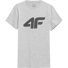 Marškinėliai vyrams 4F 4FSS23TTSHM537, pilki kaina ir informacija | Vyriški marškinėliai | pigu.lt