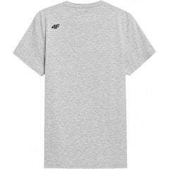 Marškinėliai vyrams 4F 4FSS23TTSHM537, pilki kaina ir informacija | Vyriški marškinėliai | pigu.lt