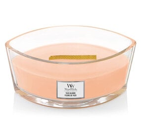 Ароматическая свеча WoodWick Ellipse Yuzu Blooms 453,6 г цена и информация | Подсвечники, свечи | pigu.lt