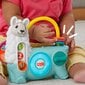 Interaktyvi lama Fisher-Price HNM86 kaina ir informacija | Žaislai kūdikiams | pigu.lt