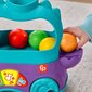 Interaktyvus dinozauras Fisher Price kaina ir informacija | Lavinamieji žaislai | pigu.lt