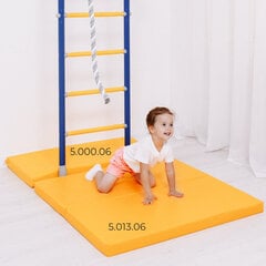 Gimnastikos čiužinys Sanro, 100x50x6 cm, pilkas kaina ir informacija | Kilimėliai sportui | pigu.lt