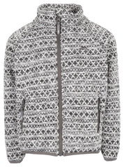 Džemperis berniukams, pilkas kaina ir informacija | Megztiniai, bluzonai, švarkai berniukams | pigu.lt