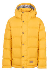 Куртка для мальчика Trespass, желтая цена и информация | Куртки для мальчиков | pigu.lt