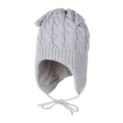 Lenne шапка для малышей Aberny 23240*370, серый 4741593375880 цена и информация | Шапки, перчатки, шарфы для мальчиков | pigu.lt
