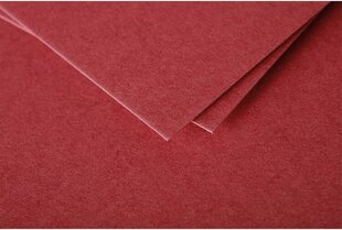Декоративный конверт Pollen, Clairefontaine, DL (110x220мм), 120г/м2, ярко-красный цена и информация | Конверты, открытки | pigu.lt