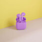 Happy Plugs Joy Purple цена и информация | Ausinės | pigu.lt