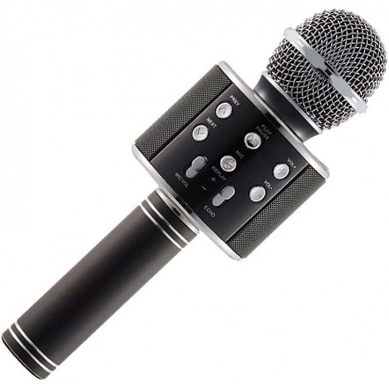 Karaoke mikrofonas kaina ir informacija | Mikrofonai | pigu.lt