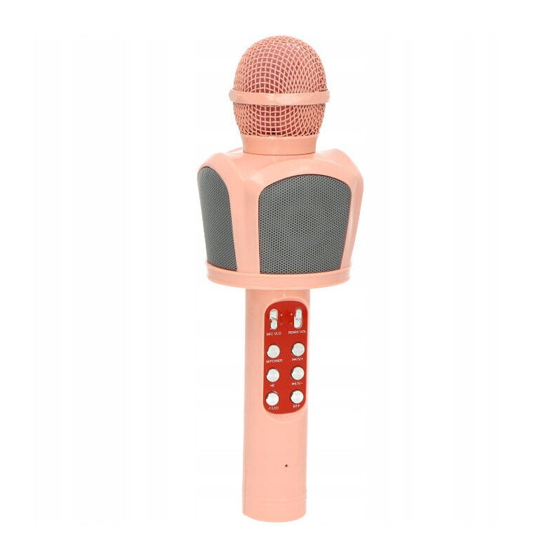 Karaoke bluetooth mikrofonas kaina ir informacija | Mikrofonai | pigu.lt