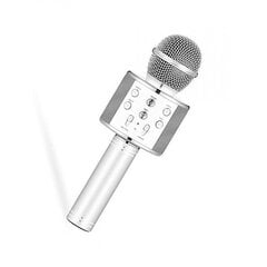 Микрофон для караоке с эффектами изменения голоса WS-858 цена и информация | Микрофоны | pigu.lt