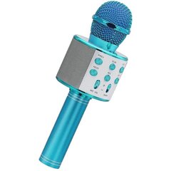 Karaoke mikrofonas kaina ir informacija | Mikrofonai | pigu.lt