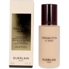 Тонирующий крем Guerlain Terracotta Le Tint Foundation, 2л, 30 мл цена и информация | Кремы для лица | pigu.lt