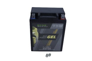 Аккумулятор для мотоциклов intAct Battery-Power GEL YB14L-S A2 11,12В 14Aч c20 250A цена и информация | Мото аккумуляторы | pigu.lt