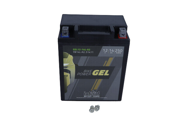 Akumuliatorius motociklams intAct Battery-Power GEL YB14L-A2 12V 14Ah c20 250A kaina ir informacija | Moto akumuliatoriai | pigu.lt