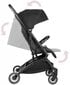 Vaikiškas vežimėlis Moby-System Lena цена и информация | Vežimėliai | pigu.lt