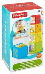 Kaladėlės Fisher Price Statyk ir atrask kaina ir informacija | Žaislai kūdikiams | pigu.lt