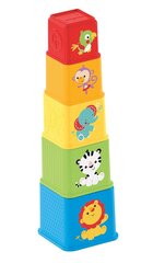 Fisher Price кубики цена и информация | Игрушки для малышей | pigu.lt